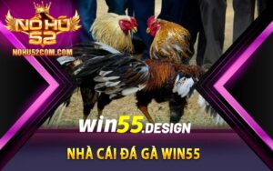 Nhà cái đá gà Win55